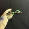 ARDECO VALLAURIS - Canard en plein vol – Image 4