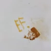 MOUSTIER - Paire de plats en faïence, signés EF – Image 6