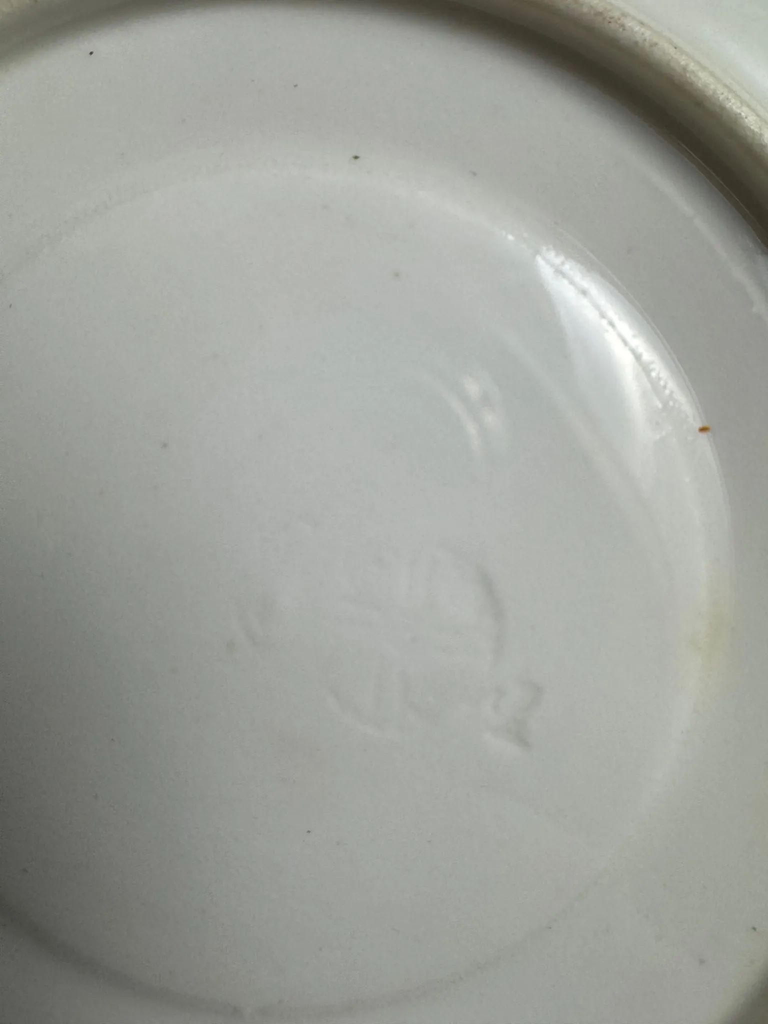 ROYAL WORCESTER (Angleterre) - Tasse et soucoupe en porcelaine décorée – Image 5